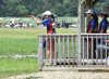 DSC_0589.JPG