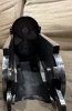 IMG_6797.jpeg