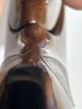 IMG_2225.jpeg