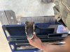 IMG_6154.jpeg