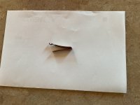 IMG_1531.jpeg