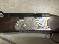 IMG_2976.jpeg