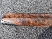 391 forearm ls close up.jpg