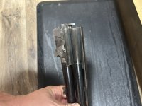 IMG_4104.jpeg