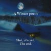 A WINTER POEM.jpg