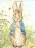 peter rabbit.jpg