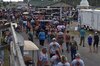 DSC_0146.JPG